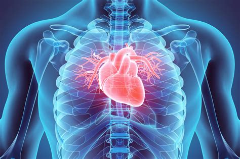 Cardiovascular Medicine .